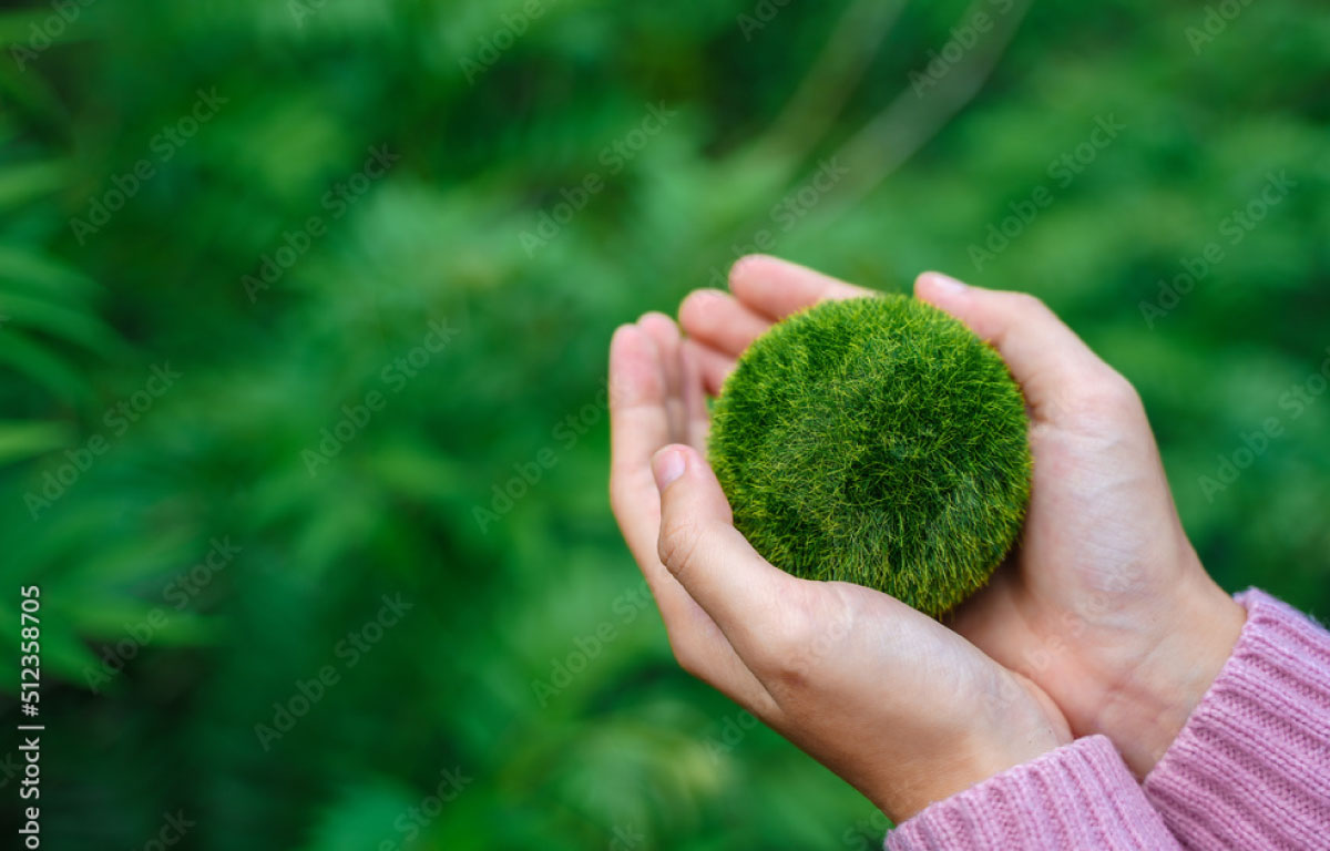 Emission offsetting, person holding a grass planet in her hands