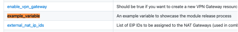 The image shows a table listing Terraform module variables with three columns: the variable name, a brief description, and example values or use cases. Three variables are visible: enable_vpn_gateway - Described as a setting to enable a new VPN Gateway. example_variable - Highlighted, with a description indicating it’s an example variable to demonstrate module release. external_nat_ip_ids - Specifies a list of EIP IDs for NAT Gateways. Each row includes a variable name and its description.